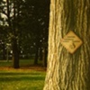 signs