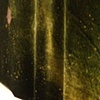 black cloud/velvet curtain
close up