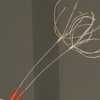 Another Failed Attempt detail