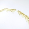 arc