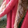 colossus detail