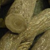 dismemberment detail
