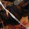 Six of One (detail) Tied in Vein