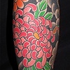 Chrysanthemum sleeve