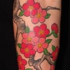 Cherry Blossom 