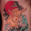 Rabbit & water
