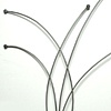 Trellis