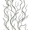Trellis