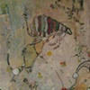 Flea Dream