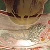 Iguana Platter