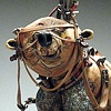 A Dominated Dog-Like Carnivoran