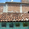 Bird Cage House
