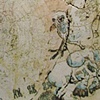 History of a Large Mammal