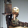 Genus Corvus and the Old Rig
