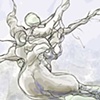 Root