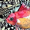 Tim the Fish