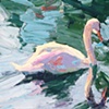 Sunkissed Swan