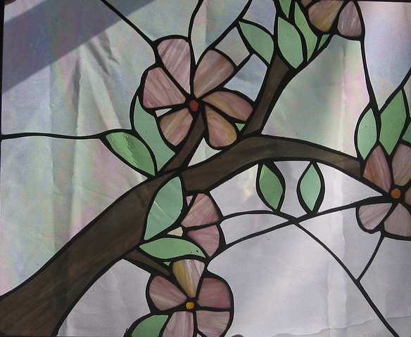 Cherry Blossoms
