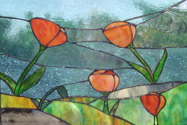 California Poppies