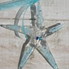 "Shooting Star"