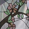 Cherry Blossoms