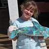 Mosaic Class- Dolphin 