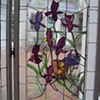 "Irises" close up