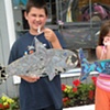 Dolphin Mosaics