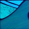 Rolling In - blue - August 29
