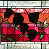 Black Rose