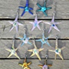 Starfish Beach Baby Beads