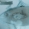 "The Tuna"