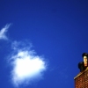 Chimney Bird.