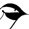 Chickadee