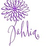 Poppy Dahlia Azalea Daisy

