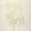 Weedhead