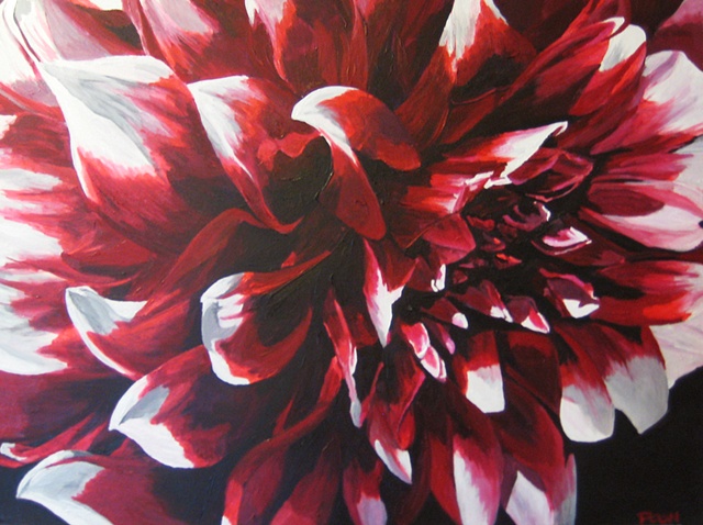 dahlia