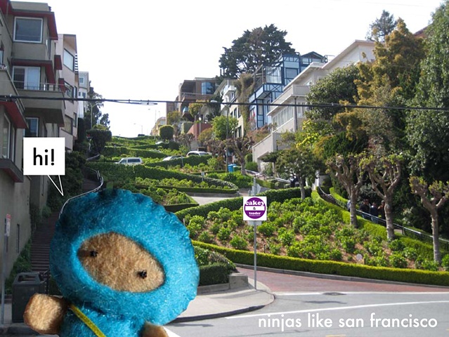 ninjas like san francisco
