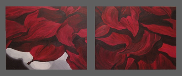 redrigo 1 & 2
