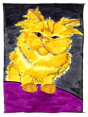 koshka