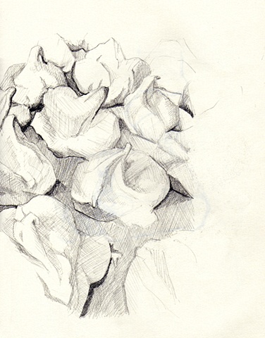 meringues
