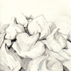meringues