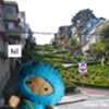ninjas like san francisco