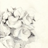 sketchity sketch sketch