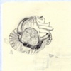 cupcake death