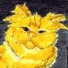 koshka