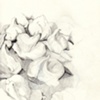 meringues