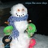 ninjas like snow days
