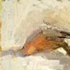 Dead Bird