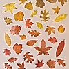 Hanging Leaves